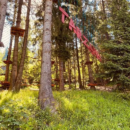 No.314 In Fatrapark1 *